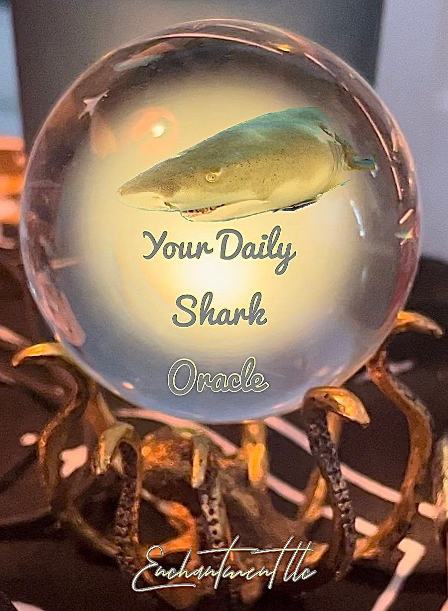 PREORDER Daily Shark Oracle Deck