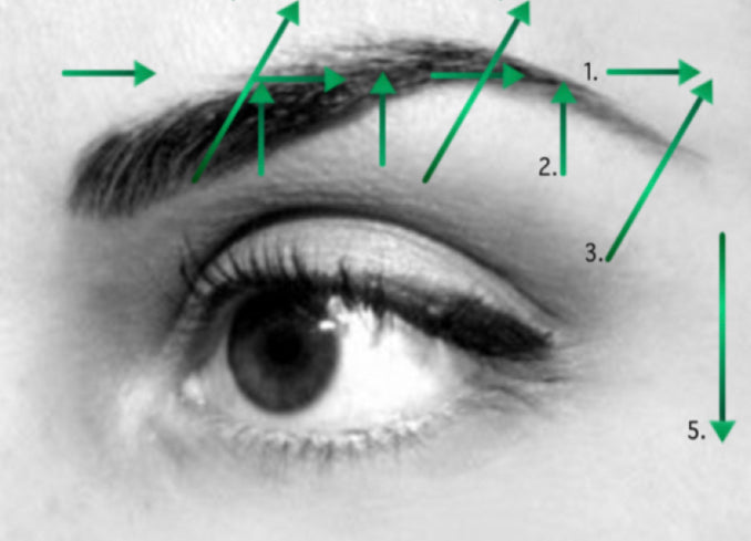 Intuitive Brow Mapping